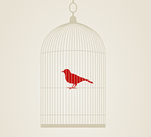 免费版本终身的无限轰炸手机软件电话下载