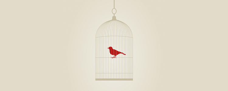 【高级教程】深入的短信测压网站